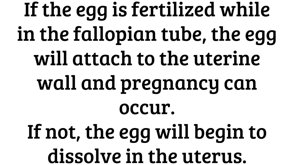 if the egg is fertilized while in the fallopian