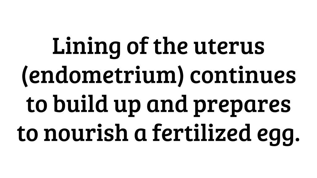 lining of the uterus endometrium continues