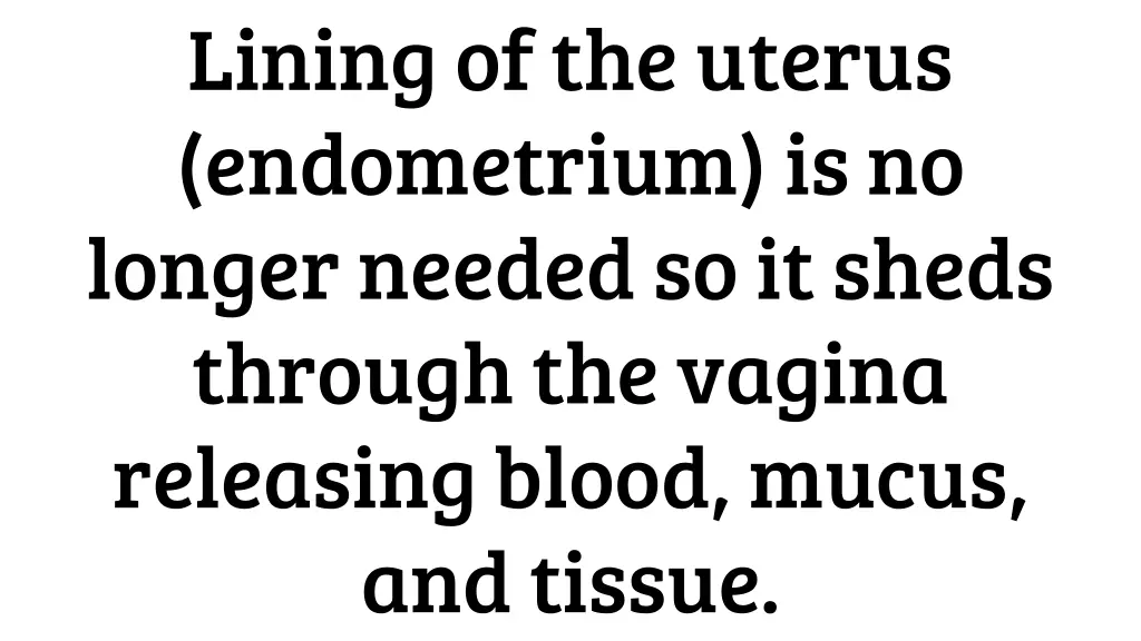 lining of the uterus endometrium is no longer