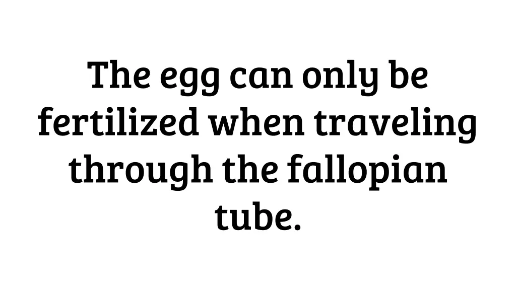 the egg can only be fertilized when traveling