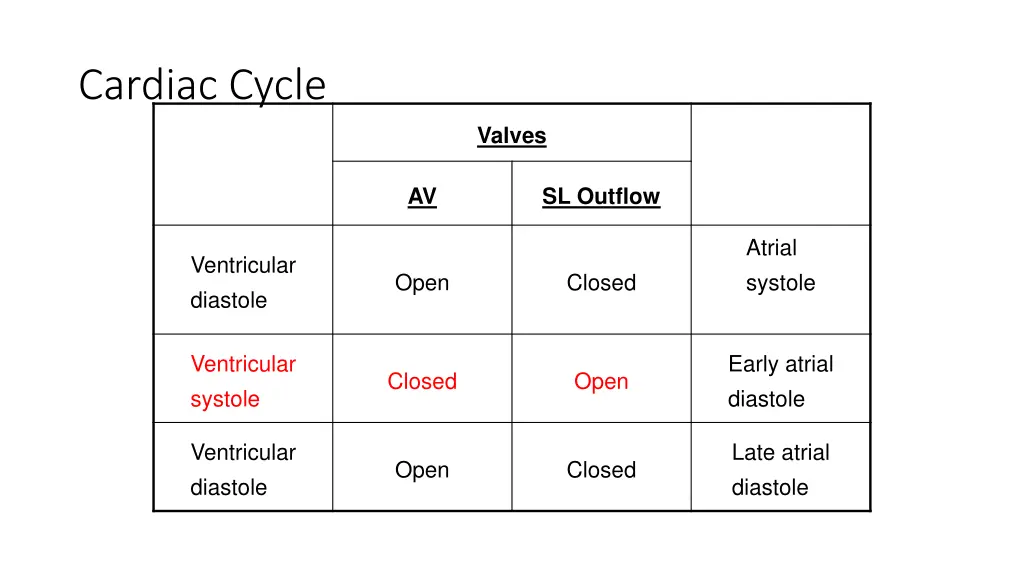 cardiac cycle
