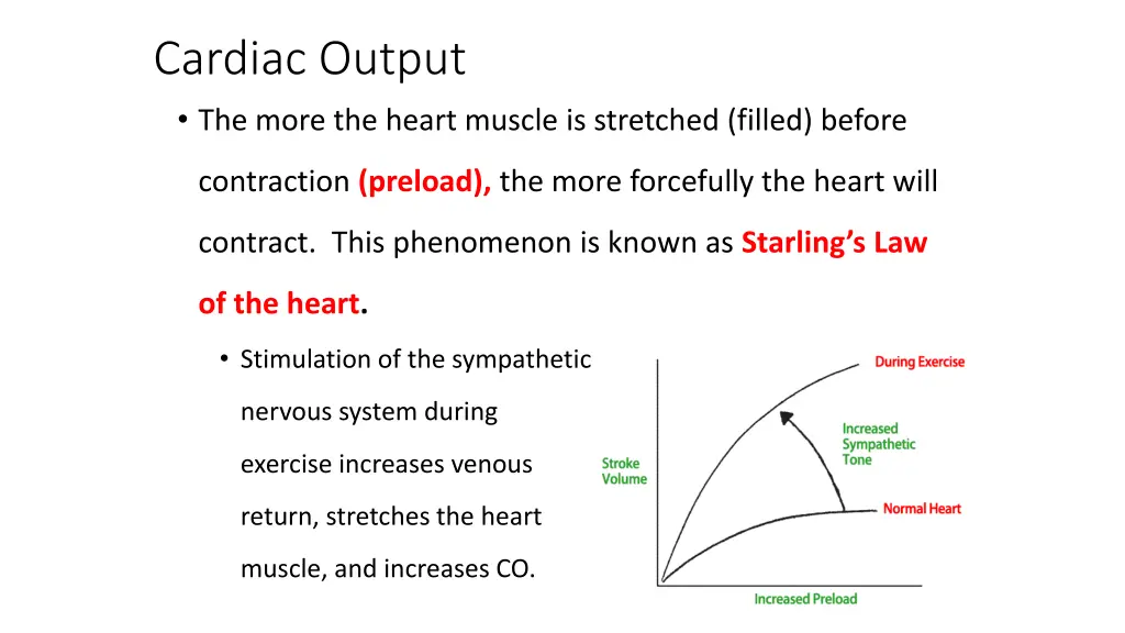 cardiac output the more the heart muscle