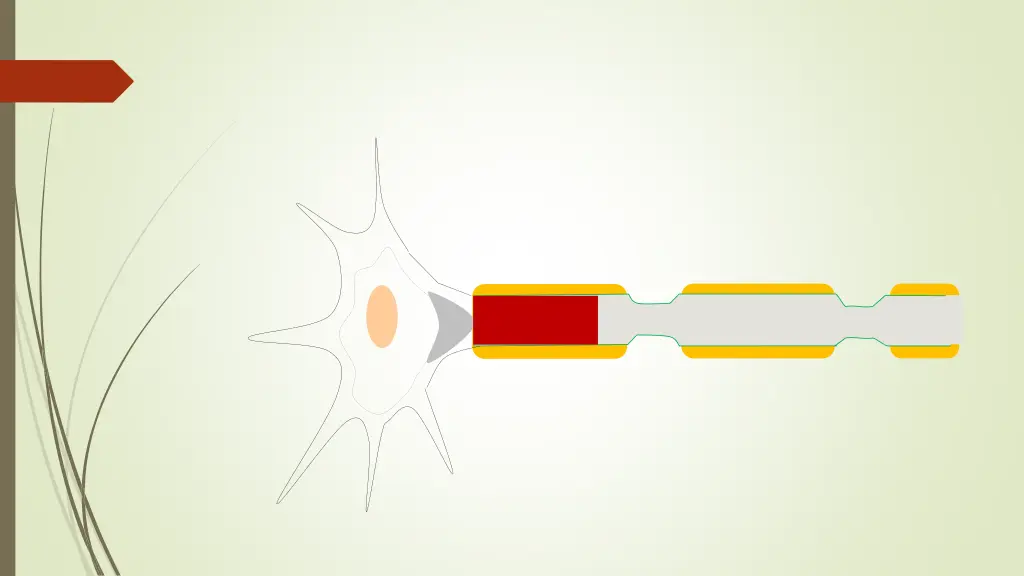 slide20