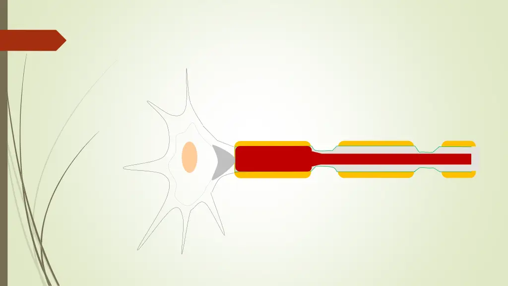slide30