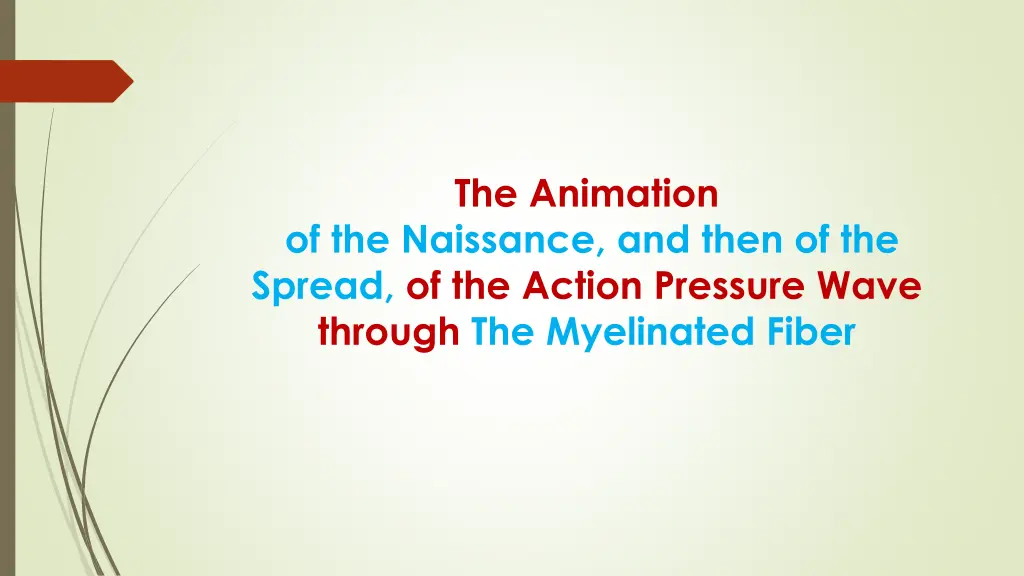 the animation