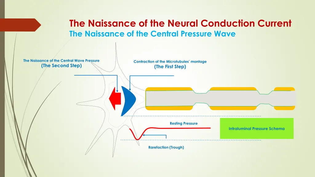 the naissance of the neural conduction current