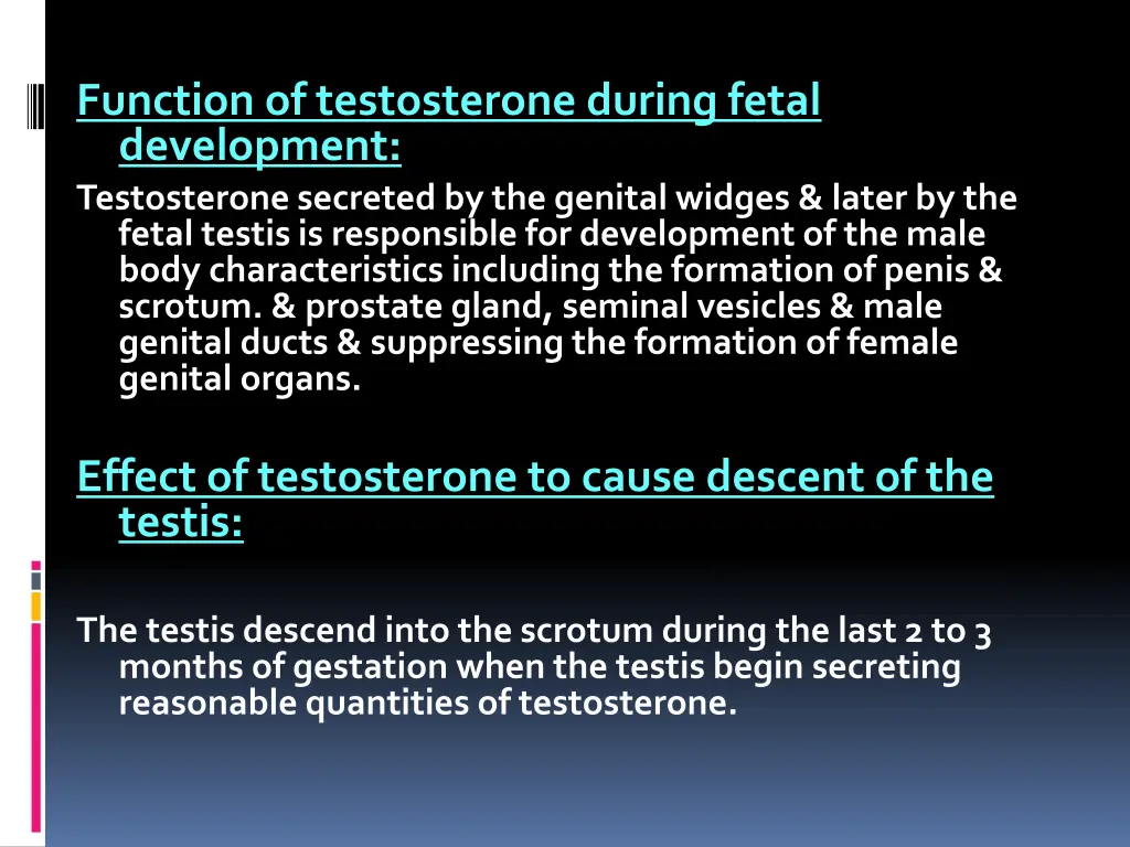 function of testosterone during fetal development