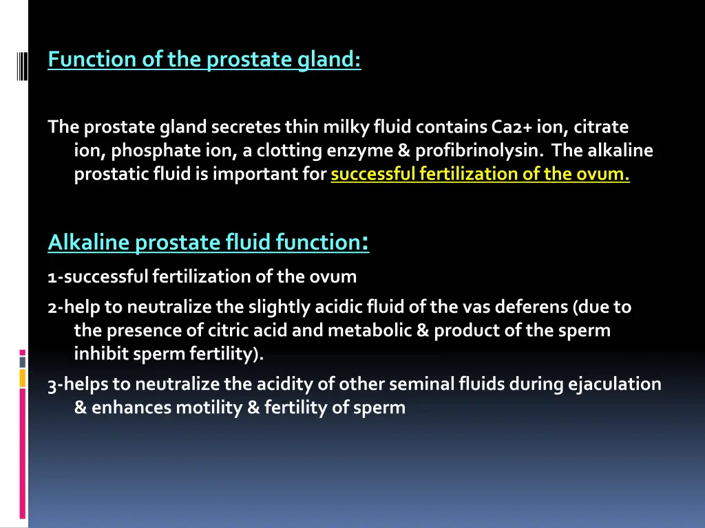 function of the prostate gland