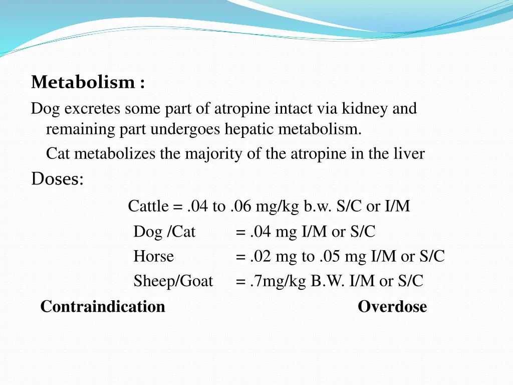 metabolism dog excretes some part of atropine