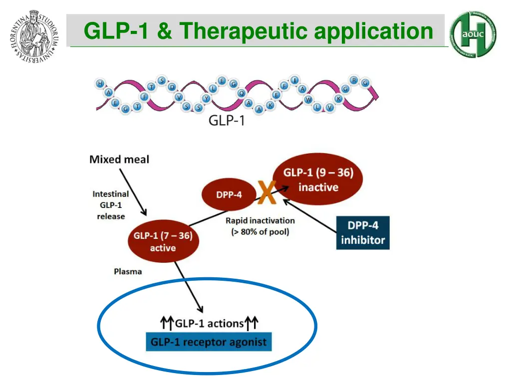 glp 1 therapeutic application