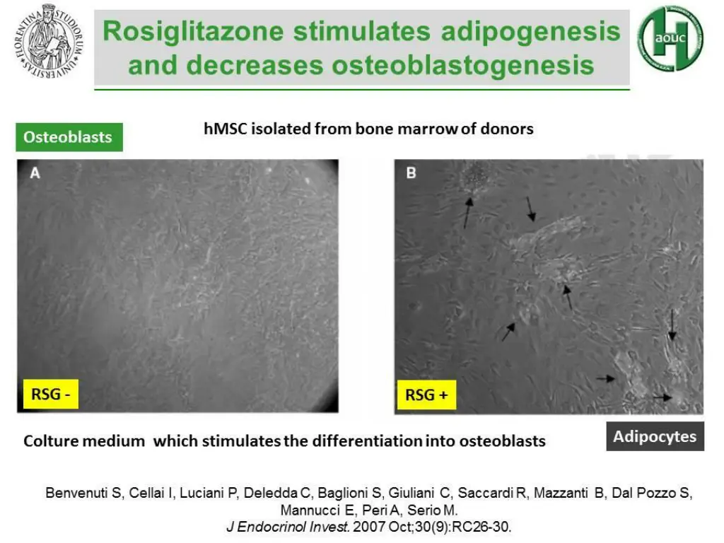 slide6