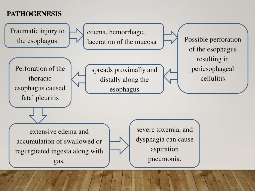 pathogenesis