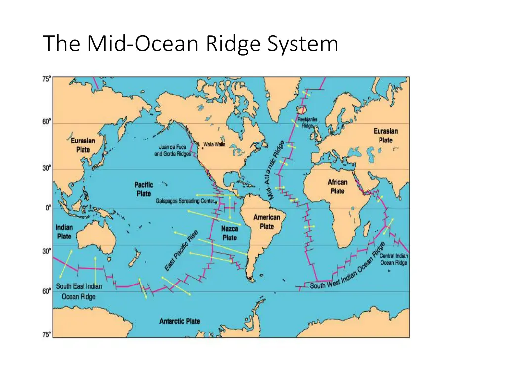 the mid ocean ridge system