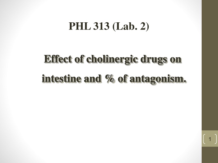 phl 313 lab 2
