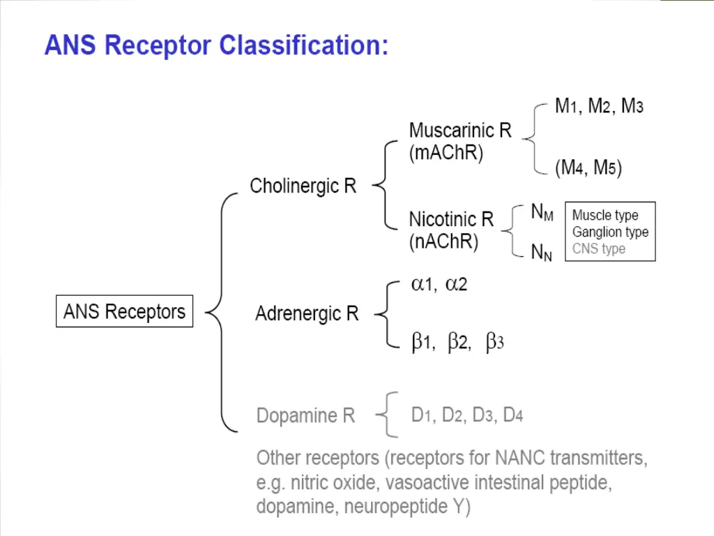 slide2