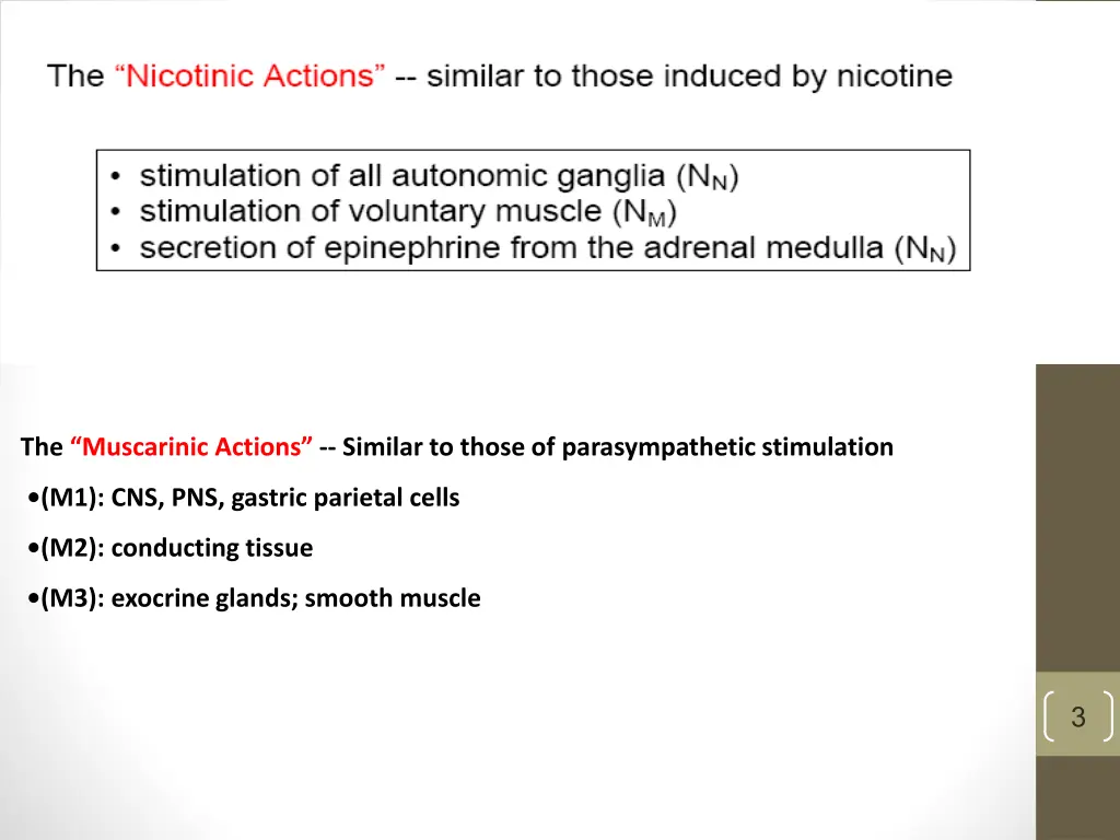 the muscarinic actions similar to those