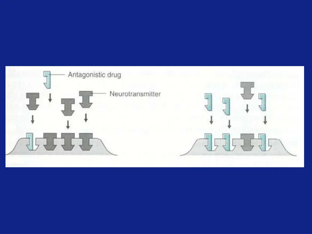 slide11