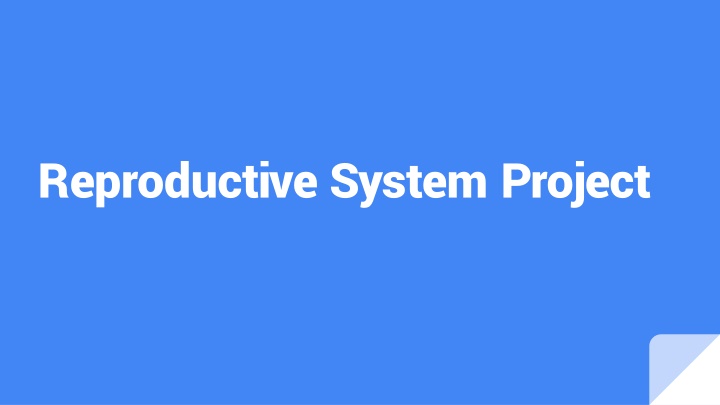 reproductive system project
