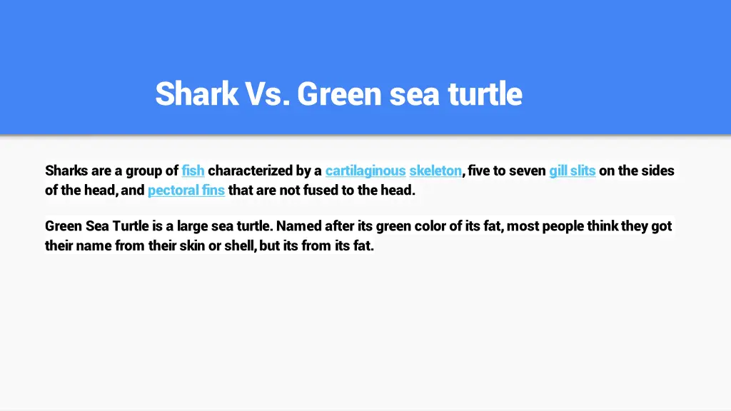 shark vs green sea turtle