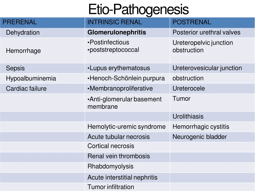 etio pathogenesis intrinsic renal
