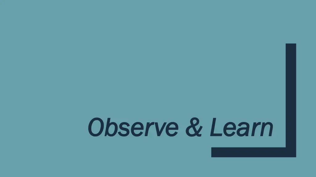 observe learn observe learn