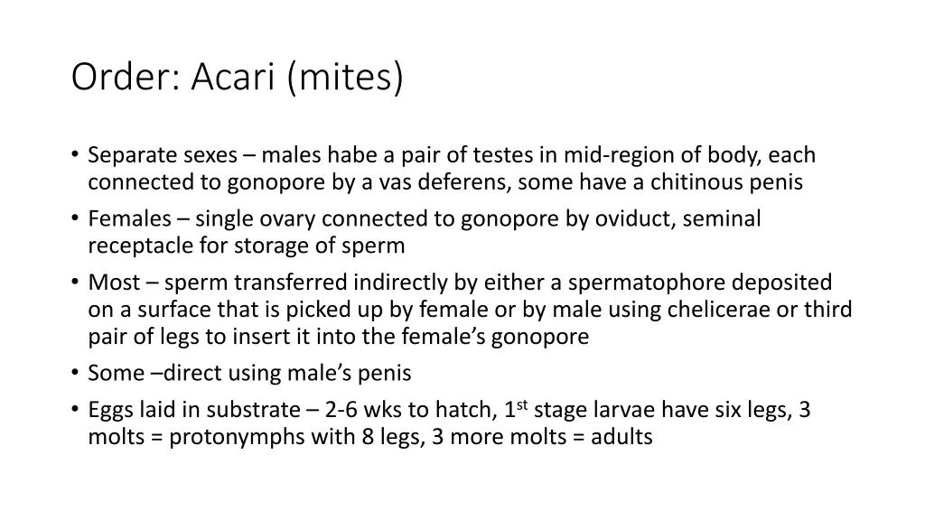order acari mites