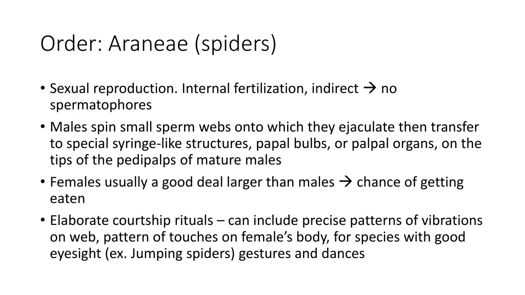 order araneae spiders