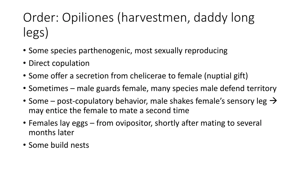 order opiliones harvestmen daddy long legs