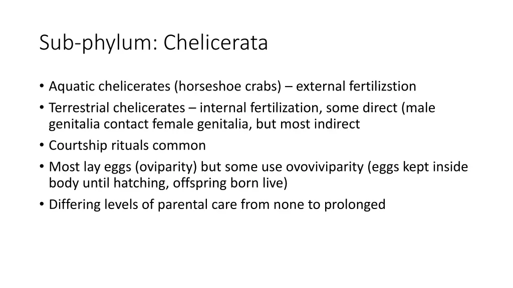 sub phylum chelicerata