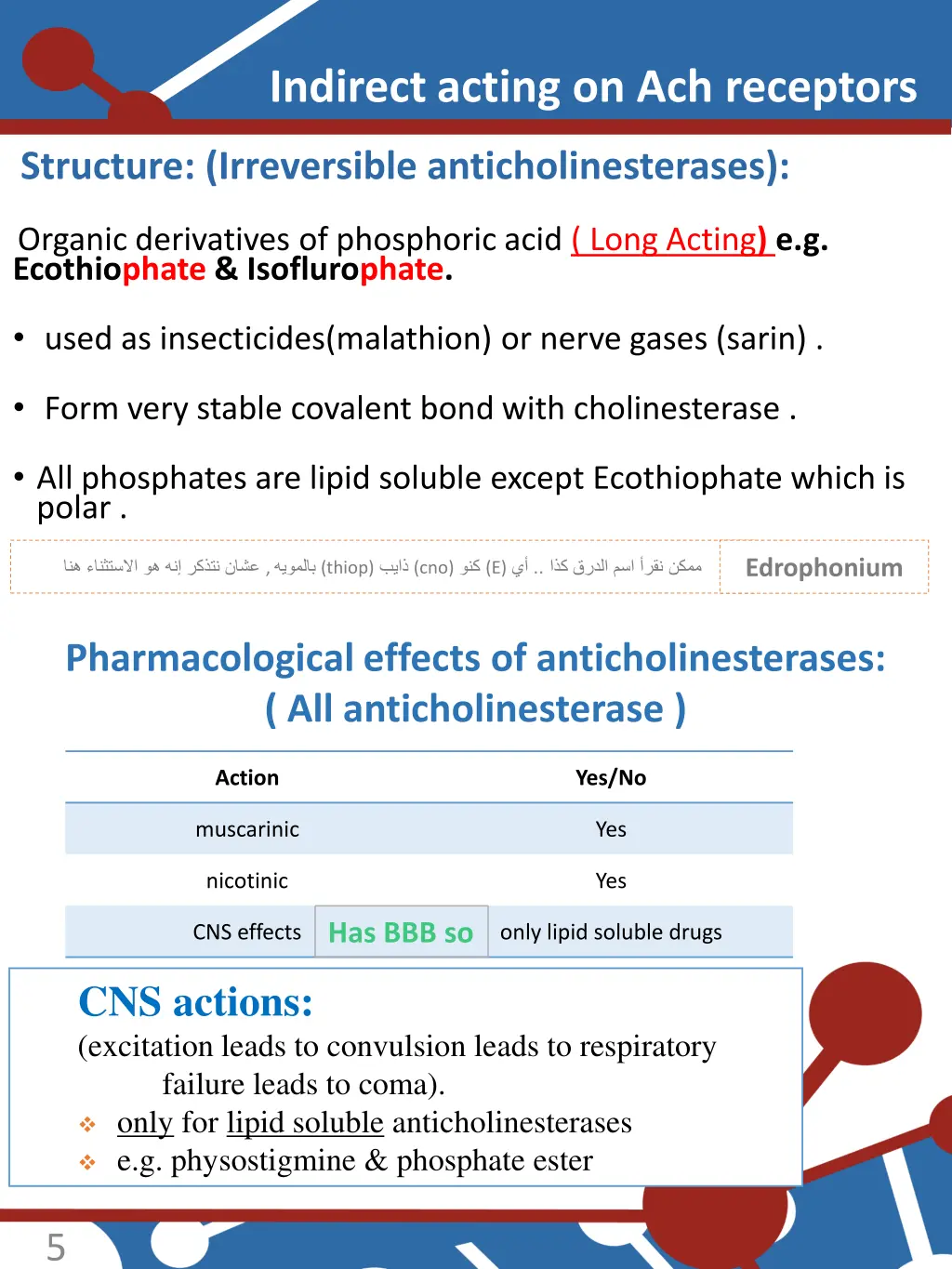 indirect acting on ach receptors 1