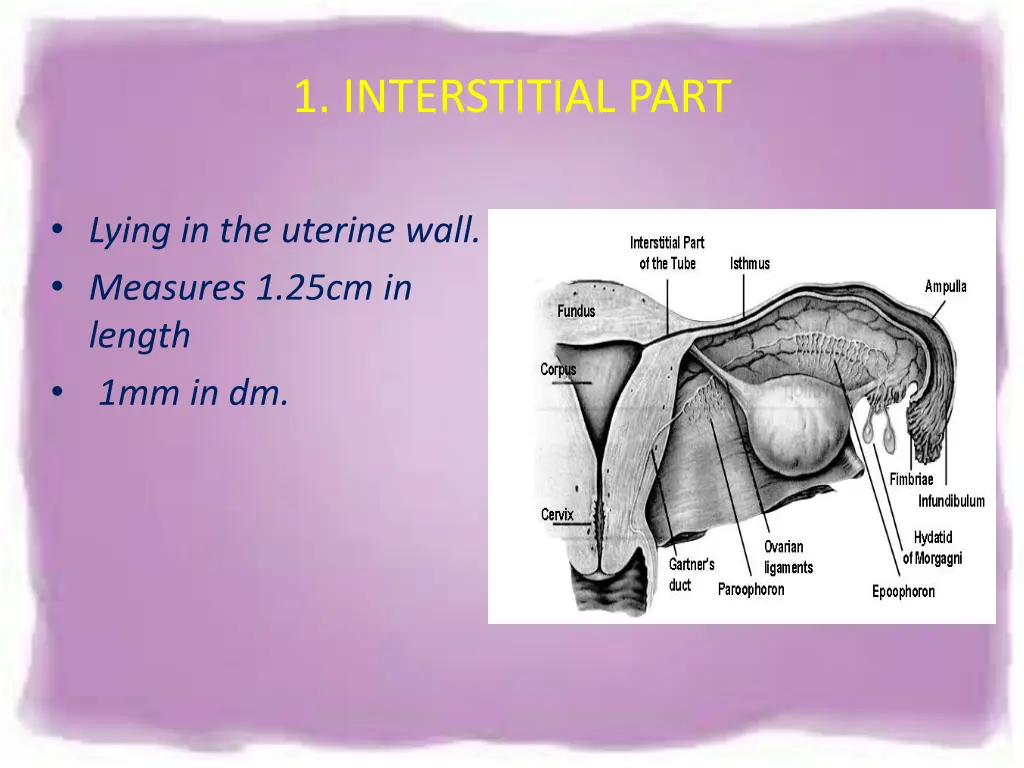1 interstitial part