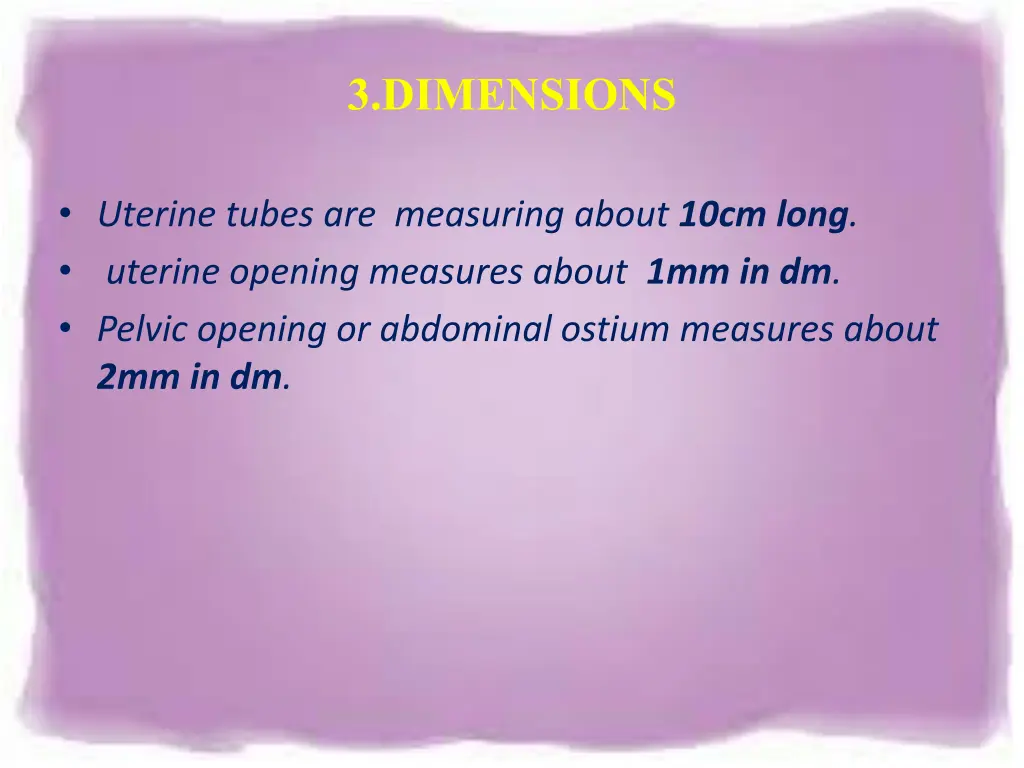 3 dimensions