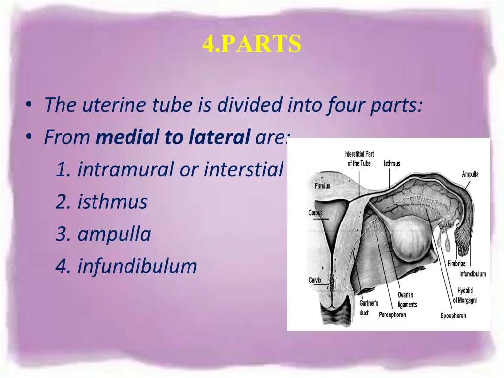 4 parts
