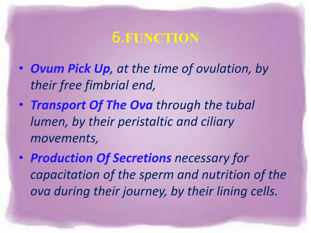 6 function