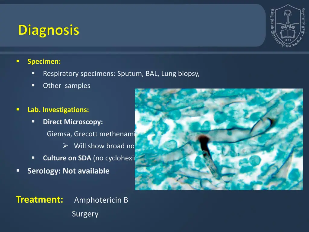 slide20