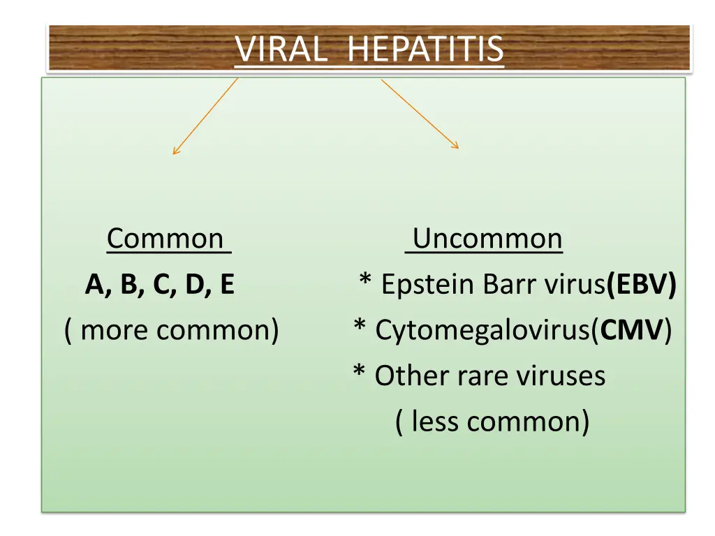 viral hepatitis