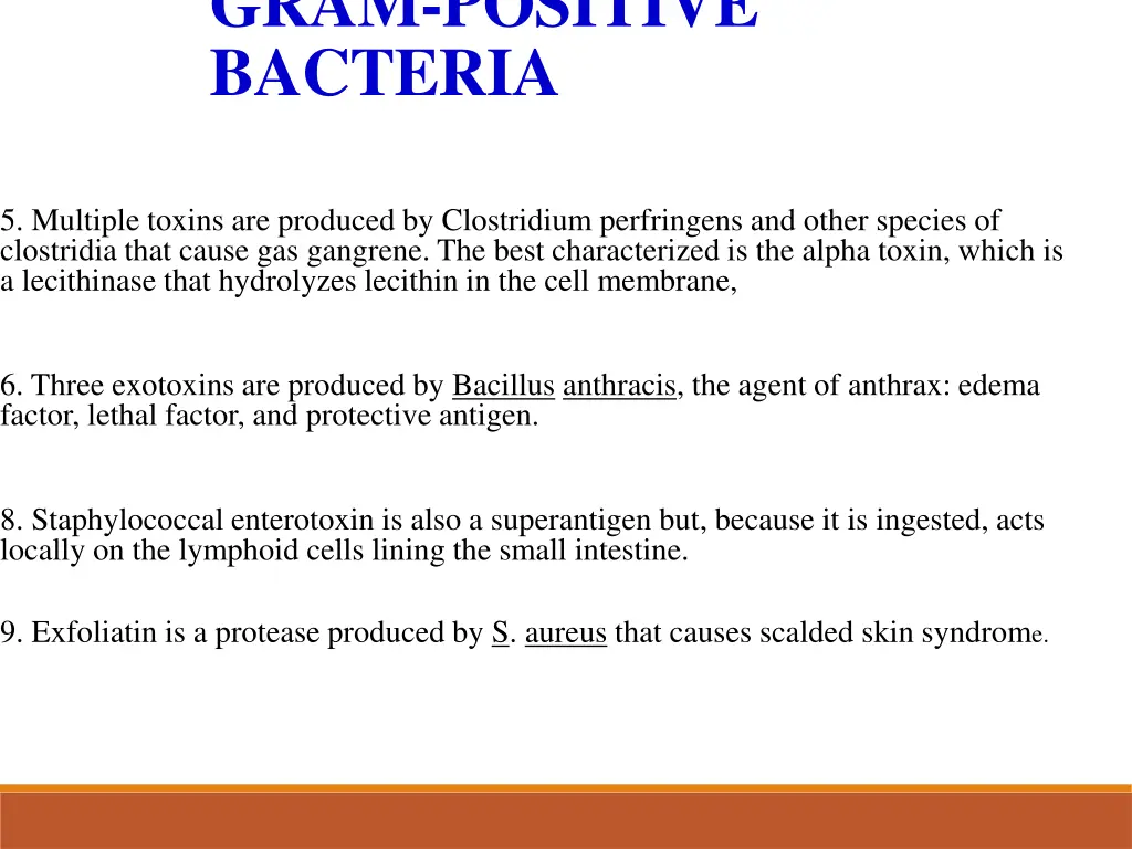gram positive bacteria 1