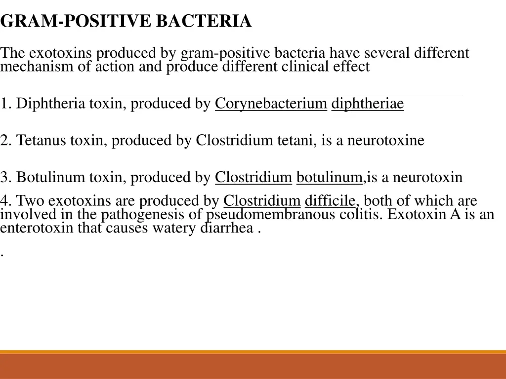 gram positive bacteria