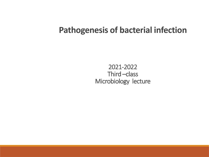pathogenesis of bacterial infection