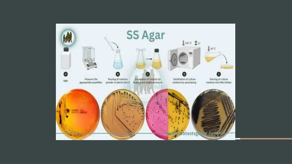 slide10