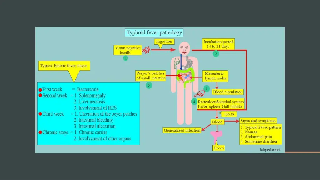 slide8