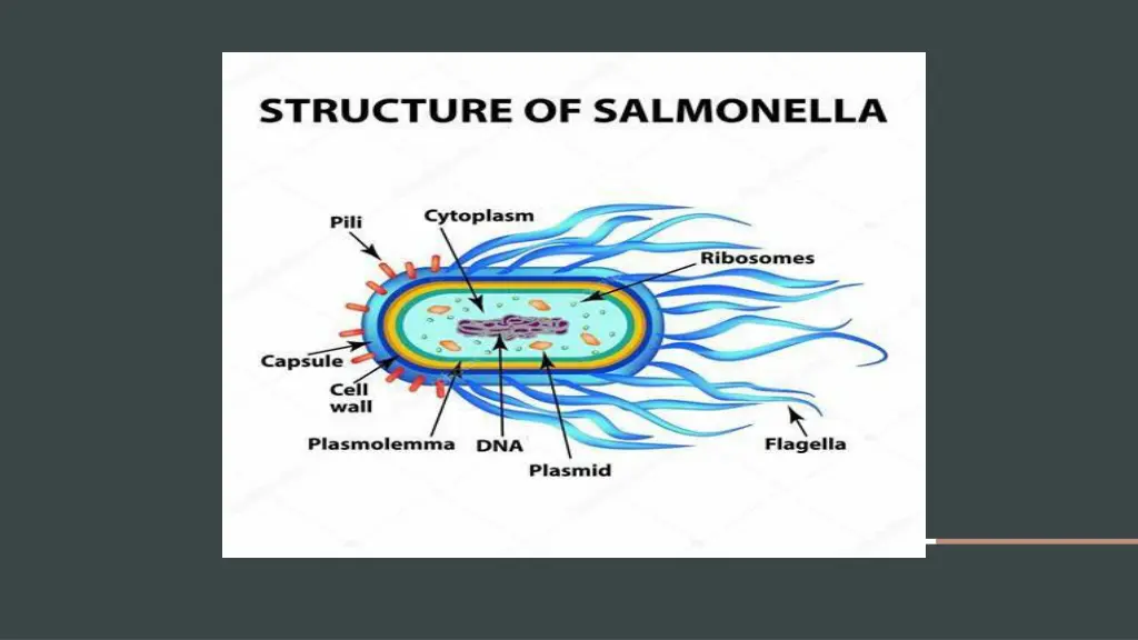 slide9