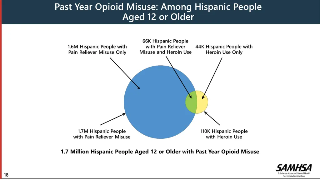 past year opioid misuse among hispanic people
