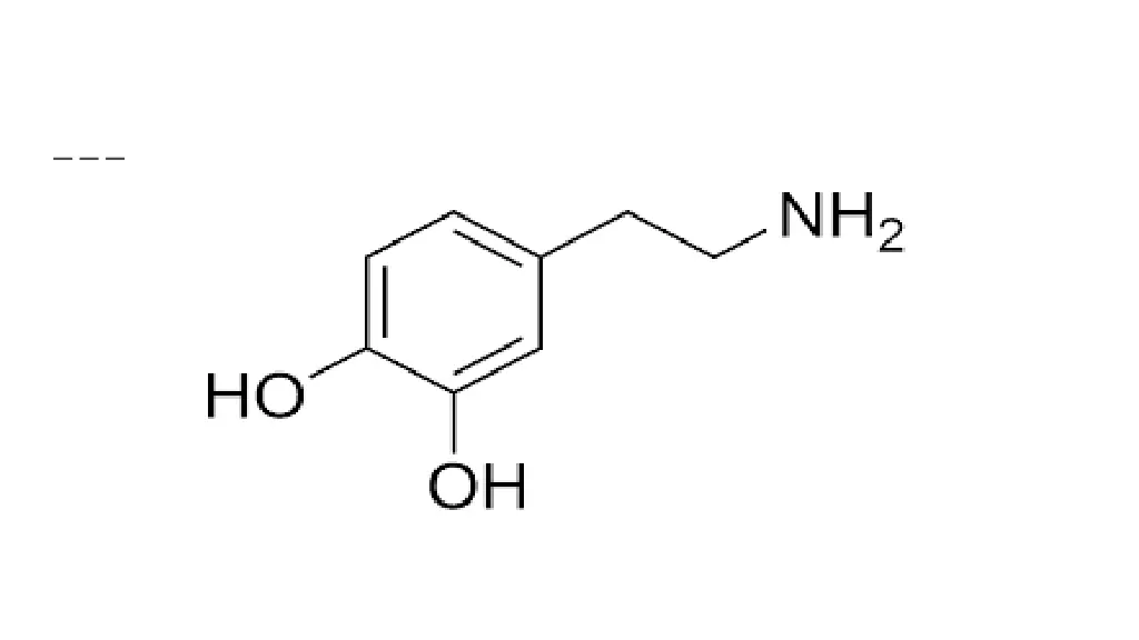 slide2