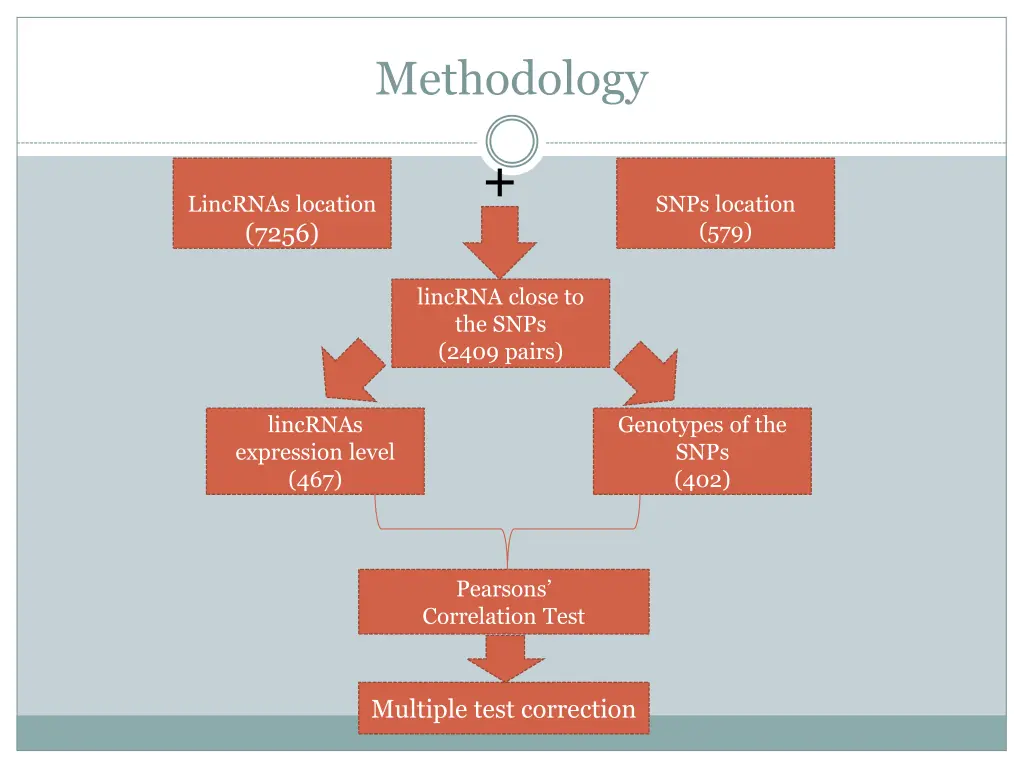 methodology 1
