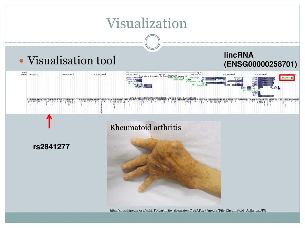 visualization 1