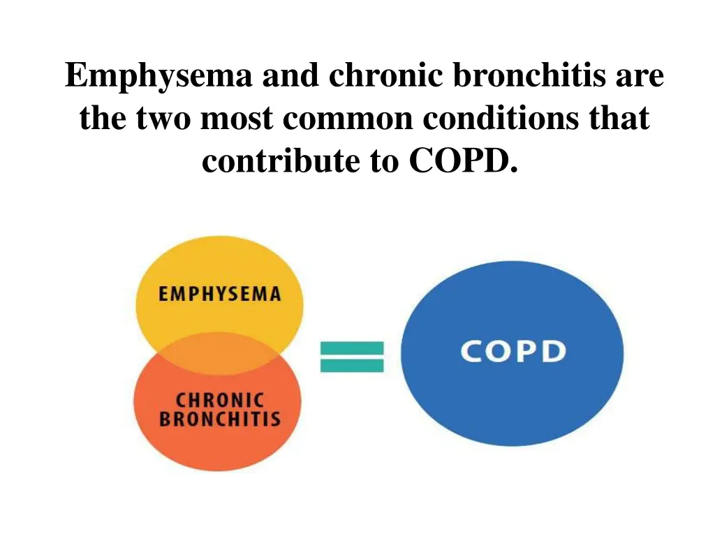 emphysema and chronic bronchitis are the two most
