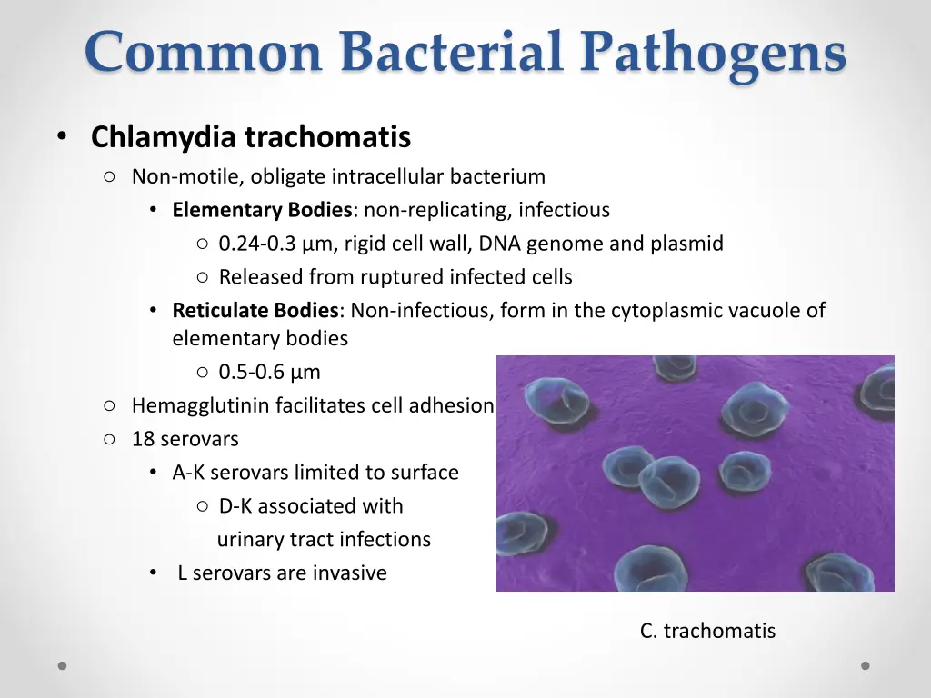 common bacterial pathogens 1