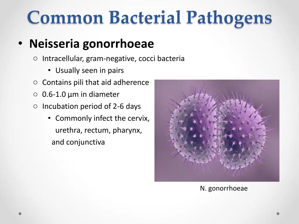 common bacterial pathogens