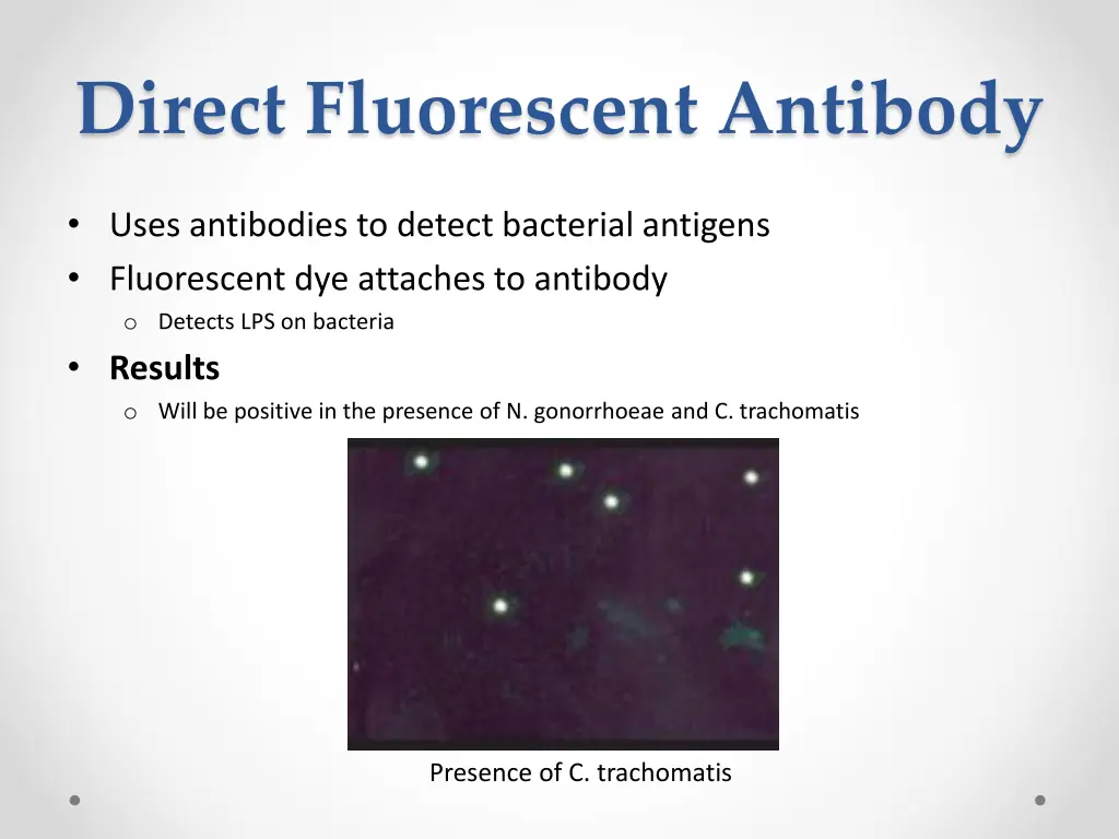 direct fluorescent antibody